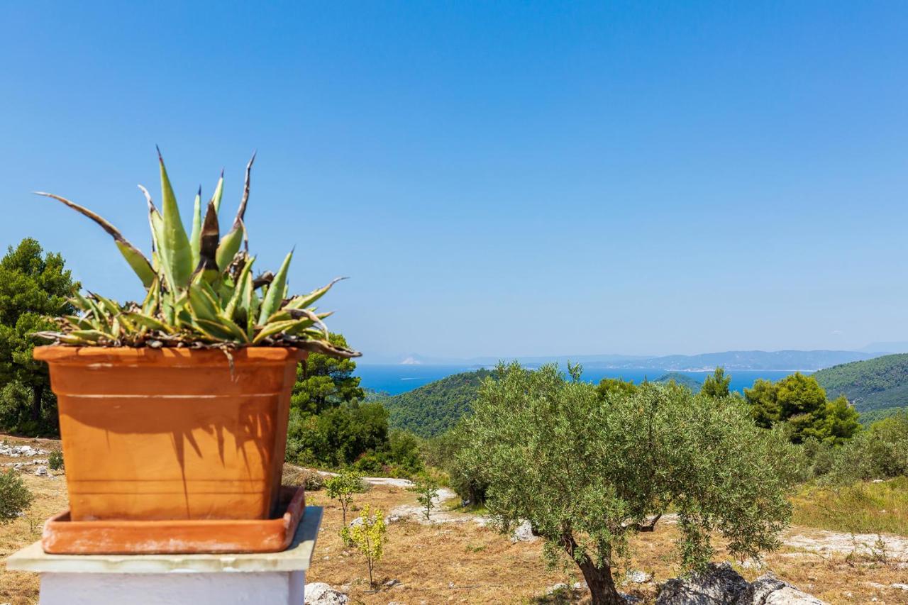 Villa Jasmine Skopelos Town Exterior photo
